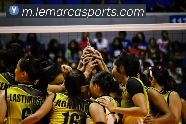 体育下注平台生态图